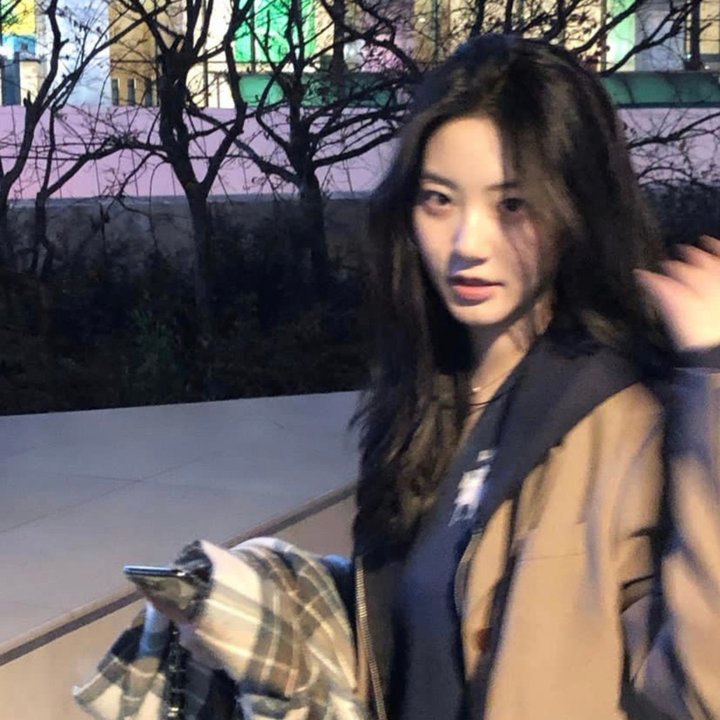 猛虎嗅蔷薇之独行其盗